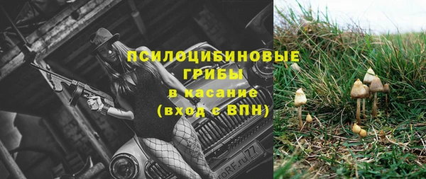 ALPHA-PVP Покачи