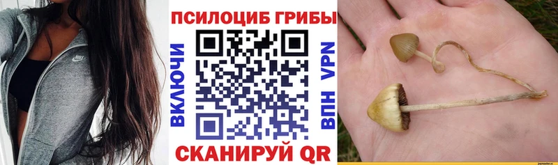Галлюциногенные грибы GOLDEN TEACHER  купить   Старая Купавна 