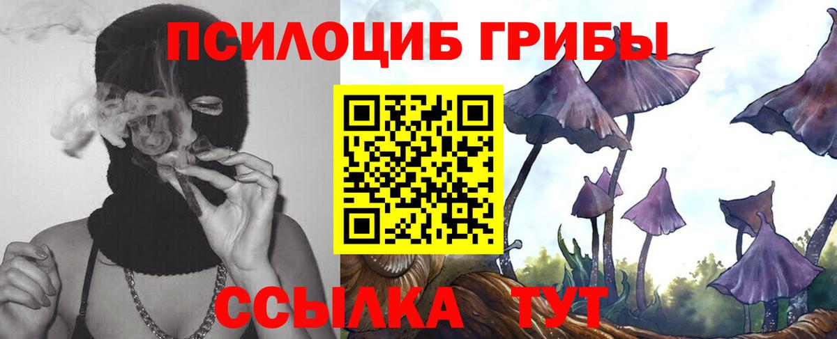 Галлюциногенные грибы GOLDEN TEACHER Старая Купавна