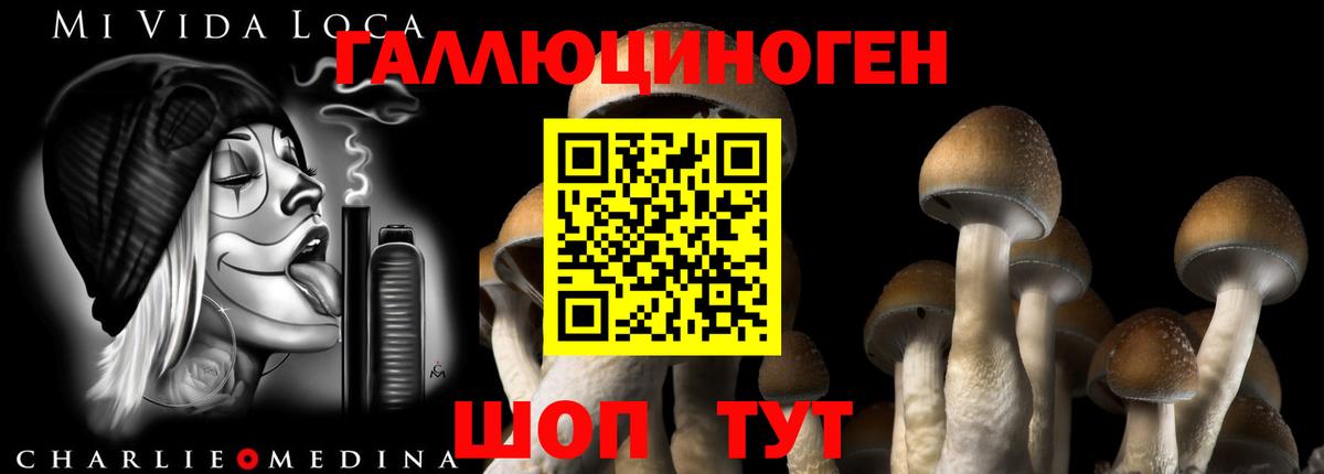 Галлюциногенные грибы MAGIC MUSHROOMS  Псилоцибиновые грибы Cubensis  Старая Купавна 